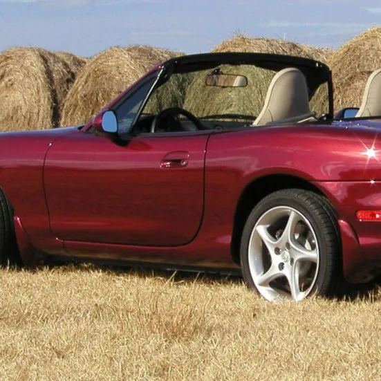Miata (25F) Garnet Red Mica Aerosol Paint